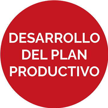 Desarrollo del Plan Productivo