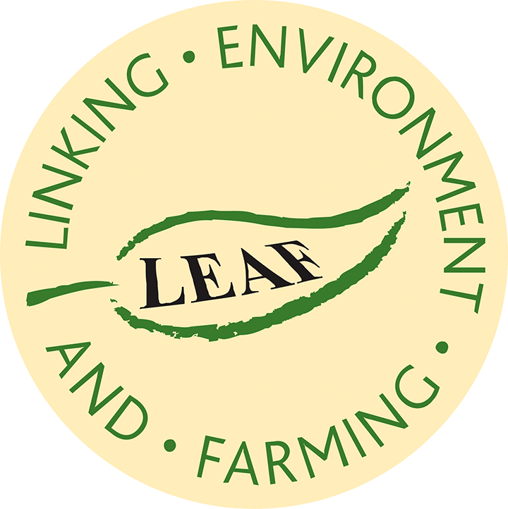 Leaf Marque logo